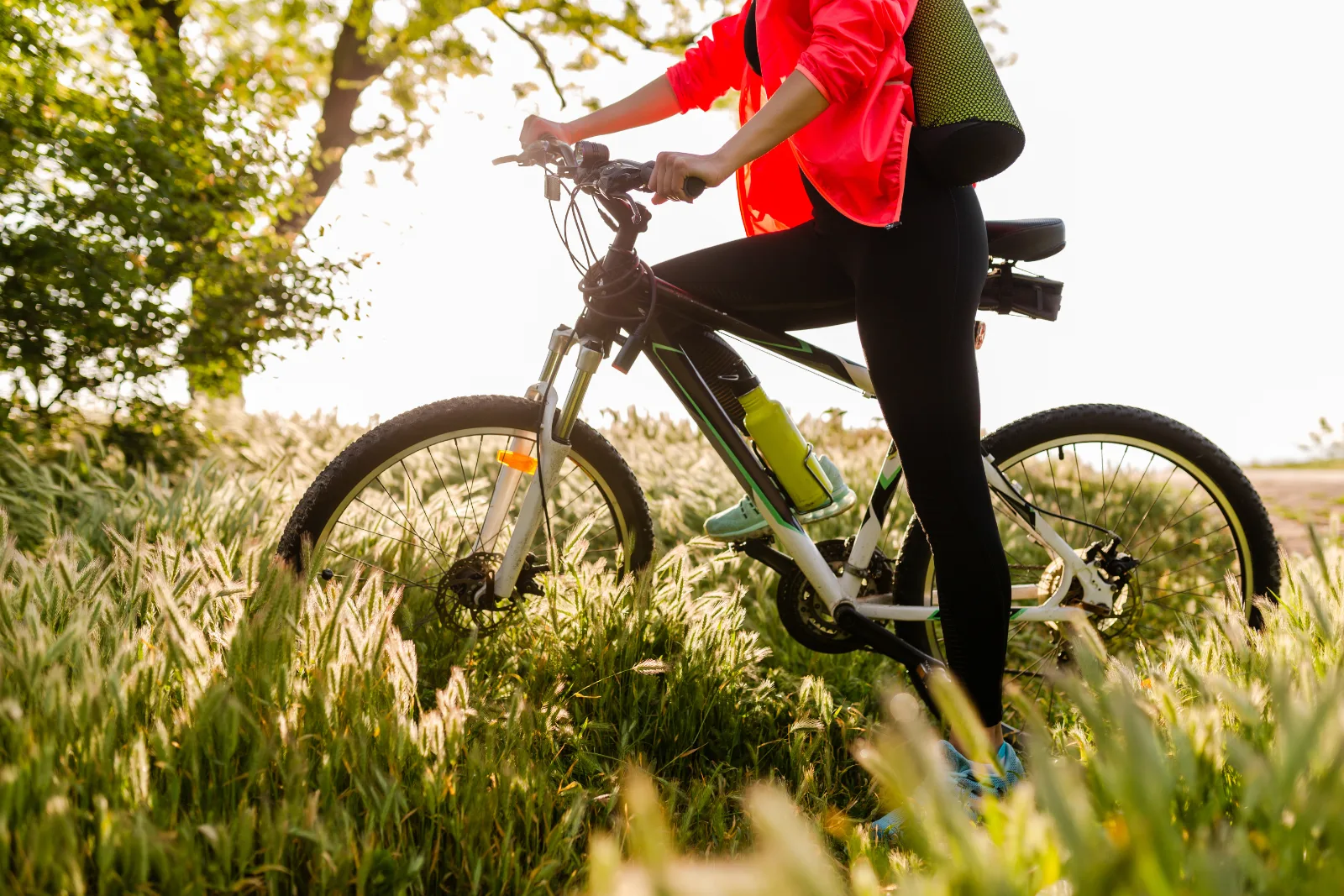 Pris og vedligeholdelse af elcykel: Hvad koster det at eje en elcykel?