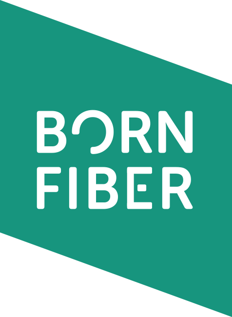 BornFiber logo